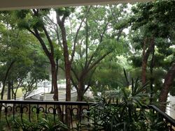 Tanglin Park (D10), Condominium #560434701